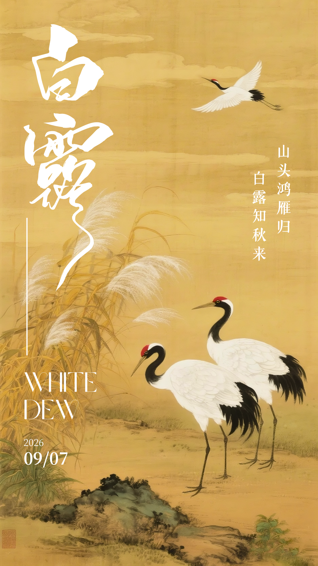 中国风节气海报